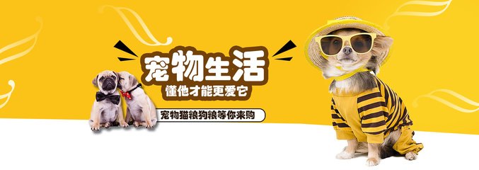 2025精准资料大全免费